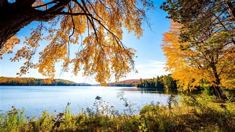 Three tips for taking in the fall colours in Gatineau Park - National Capital Commission