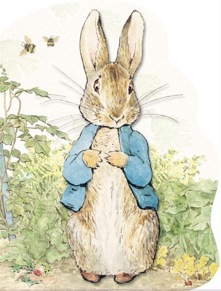 Peter Rabbit von Beatrix Potter - englisches Buch - bücher.de