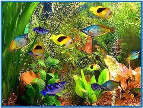 Tropical fish tank screensaver mac : taufrolis