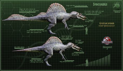 Cretaceous spino vs JP3 Spinosaurus by JonassaurotheDragon on DeviantArt