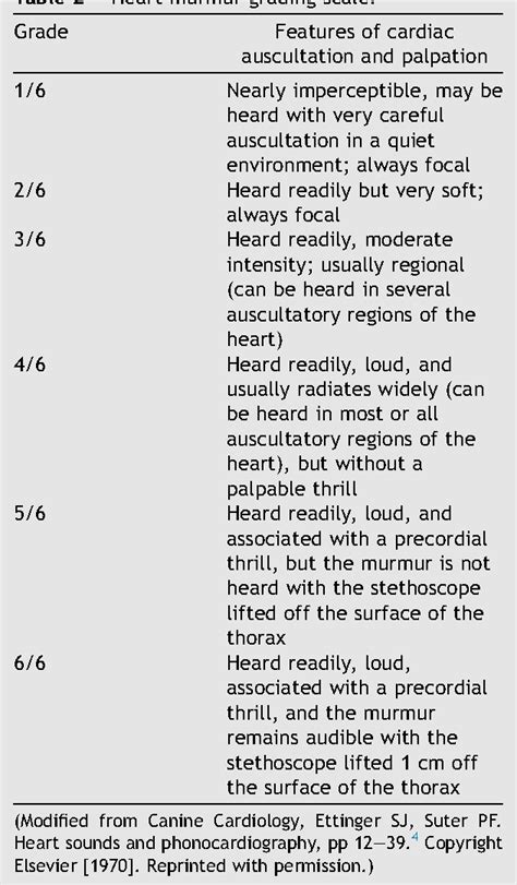 What is a grade 3 heart murmur in a dog