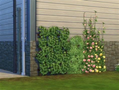 Sims 4 | GT Wall Deco Height Overrides #pbox buy mode garden plant override Outside Plants ...