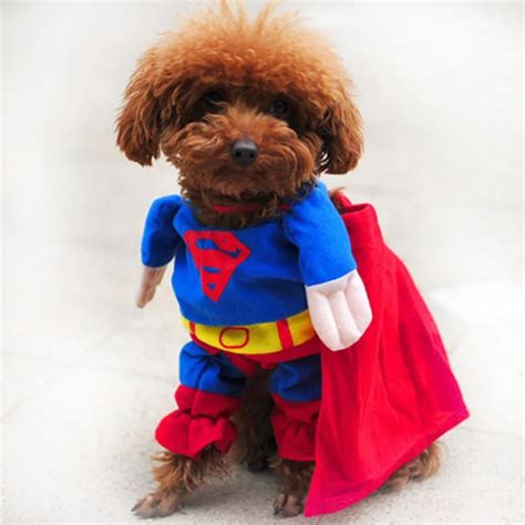 2016-Hot-Sale-Cute-Pet-Dog-Superman-Clothes-Suit-Puppy-Jumpsuit-Apparel ...