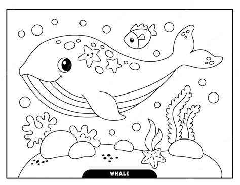 Premium Vector | Vector whale coloring pages for kids Whale Coloring Pages, Summer Coloring ...