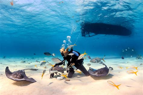 Scuba Dive at These Top Diving Spots in the Caribbean