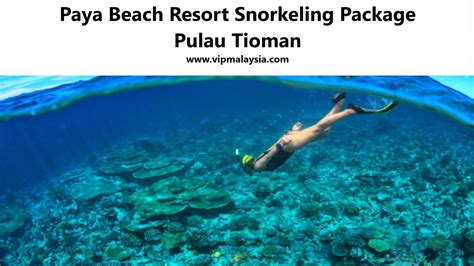 Paya Beach Resort Snorkeling Package Pulau Tioman | vipmalaysia.com 1001 Best Activity in Malaysia