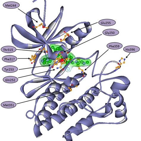 Structure alignment of imatinib bound BCR-ABL kinase (PDB_ID: 1IEP ...