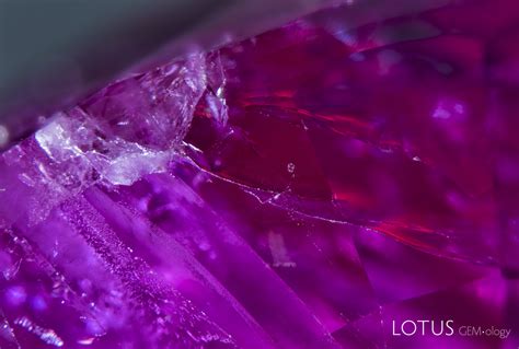 Hyperion • Inclusion Search Engine • Lotus Gemology