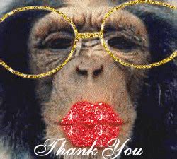 THANK YOU KISS - Reiseblog Weltenbummler Mag