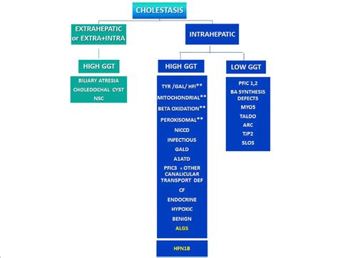 Schematization of the causes of neonatal cholestasis. Patients with ...