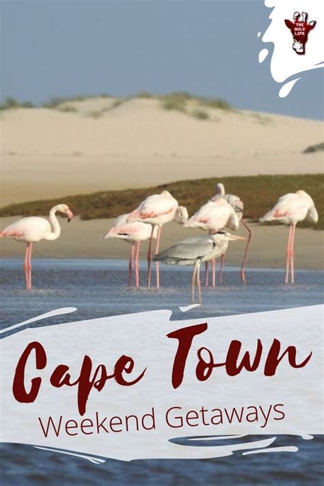 Weekend Getaways Cape Town | Weekend getaways, South africa nature ...