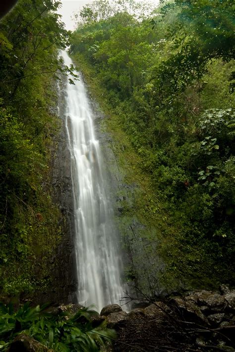 Manoa Falls, Oahu | Manoa Falls is a waterfall on the island… | Flickr