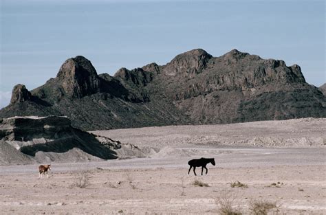 durango-desert - Durango Pictures - Durango - HISTORY.com