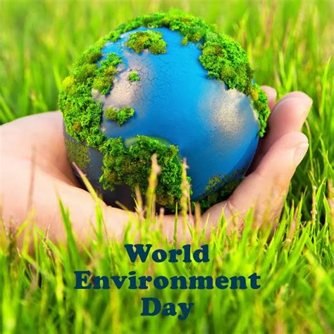 Happy Environment Day Images, Wallpaper, Photos, Pics, Free Download