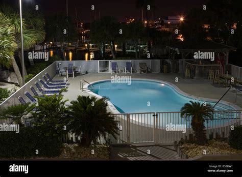 Motel swimming pool at night with no people around only the palm tree ...