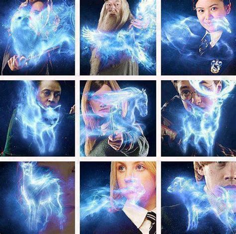 Patronus | Harry potter cast, Harry potter patronus, Harry potter