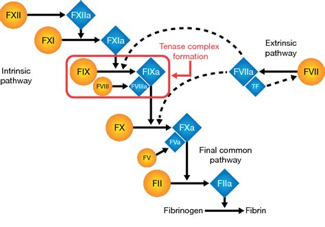 Figure 1 from BAX326 (RIXUBIS): a novel recombinant factor IX for the control and prevention of ...