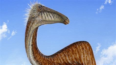 Deinocheirus fossils reveal dinosaur behind huge 'T.rex' arms - Technology & Science - CBC News