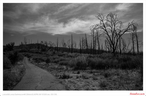 Rancho Cuyamaca State Park Camping... - LeicaLux