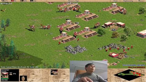 AOE2 Strategies Revealed - YouTube