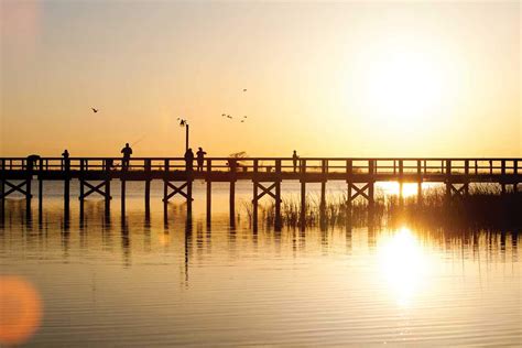 Meaher State Park - Alabama Birding Trails