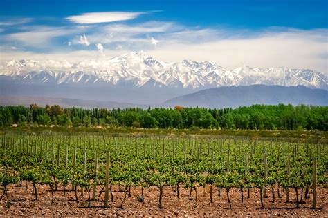 Your 2024 guide to Mendoza wine region | Winetourism.com