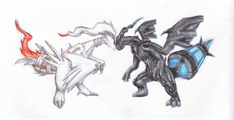 Reshiram Vs Zekrom -color by DragonBalance on DeviantArt