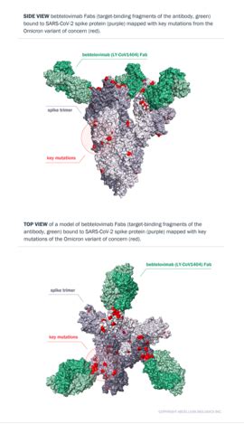 AbCellera Biologics Inc. - AbCellera-Discovered Antibody, Bebtelovimab ...