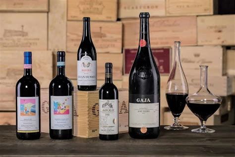 The Best Italian Wine Producers to Add to Your Collection - Vinfolio Blog