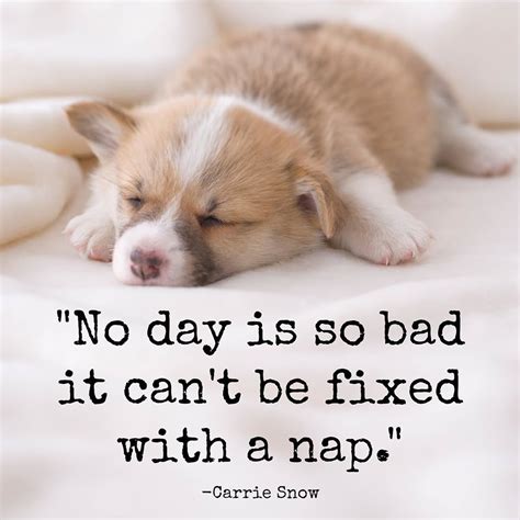 #wordsofwisdom #sleep Nap Quotes, Sleep Quotes, Funny Quotes, Quotable Quotes, Funny Memes ...