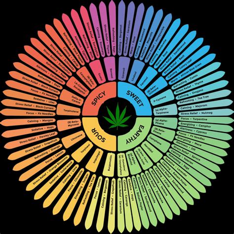 Terpenes - Part 2 - Sensi Seeds Blog