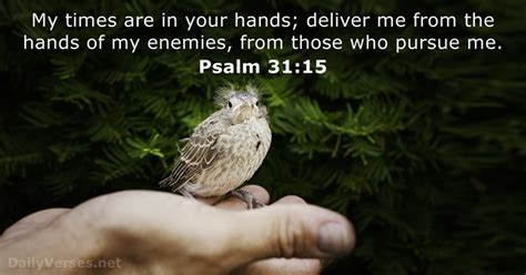 Psalm 31:15 - Bible verse - DailyVerses.net