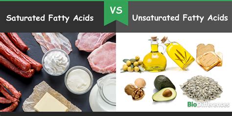 Difference Between Saturated and Unsaturated Fatty Acids – Bio Differences