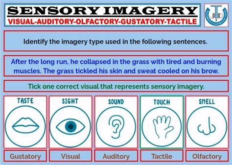 SENSORY IMAGERY: WORKSHEETS WITH ANSWERS | Teaching Resources