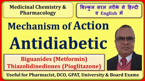 Mechanism of Action for Antidiabetic Drugs | Biguanides and ...