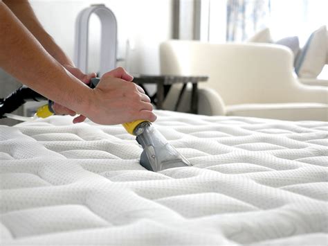 Maximize Mattress Lifespan: The Key Benefits Of Professional Mattress Cleaning - Synapce