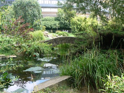 Japanese Garden - Hammersmith Park. There are many reasons why Japanese ...