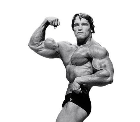 Arnold Schwarzenegger Bodybuilding PNG - PNG All