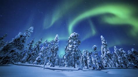 Northern Lights (Aurora Borealis) Over Winter Forest UHD 4K Wallpaper | Pixelz