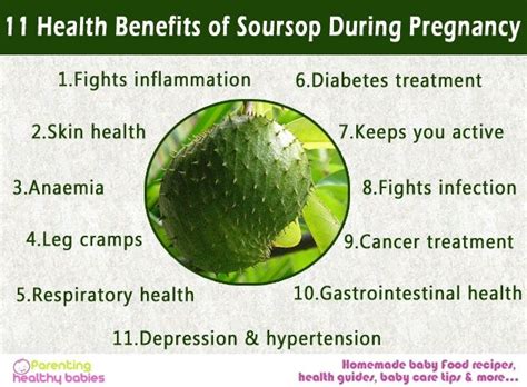 Soursop Fruit Juice Benefits - health benefits