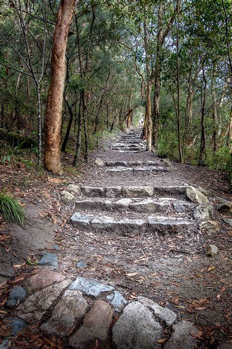 Point Lookout, Coolum Beach – Pethols – a walk on Mount Coolum | Pet ...