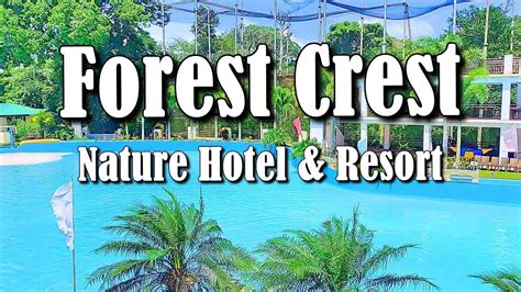 Forest Crest Nature Hotel & Resort - YouTube