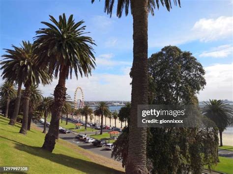 Geelong Waterfront Photos and Premium High Res Pictures - Getty Images