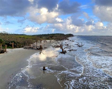 Driftwood Beach Jekyll Island Photograph by Charlene Cox - Fine Art America