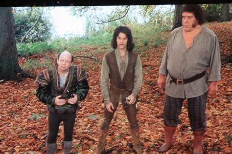 inigo montoya princess bride costume | Princess bride costume, Princess bride, Bride costume