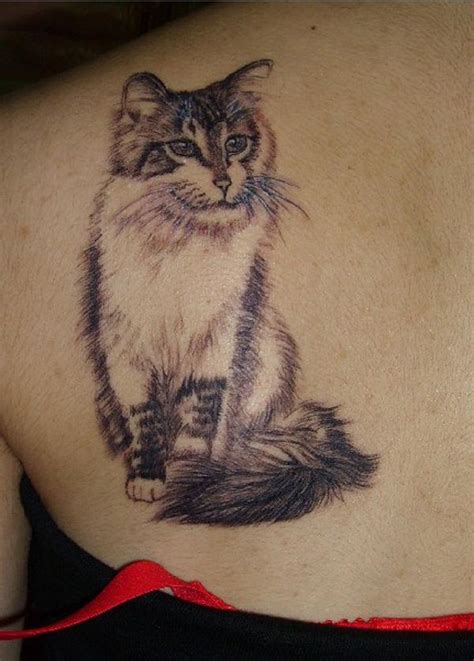 100+ Examples of Cute Cat Tattoo | Art and Design