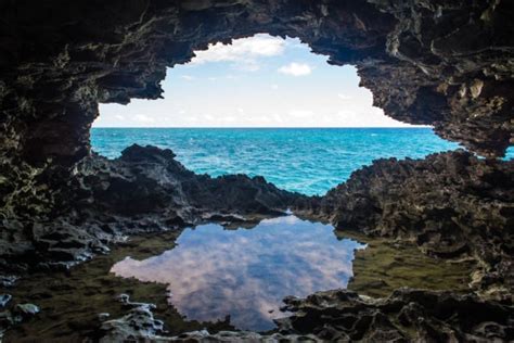 The Animal Flower Cave | Barbados | Uncommon Caribbean