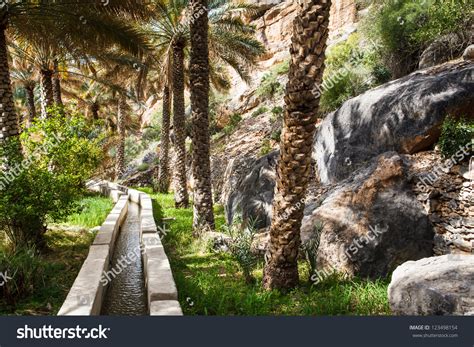 Oasis Middle Desert Oman Stock Photo 123498154 | Shutterstock