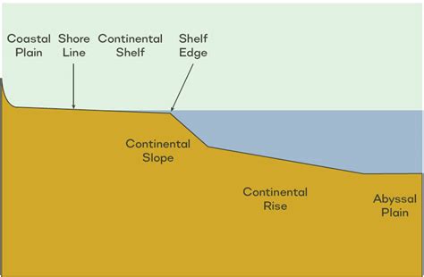 Continental margins formed rapidly during Flood runoff