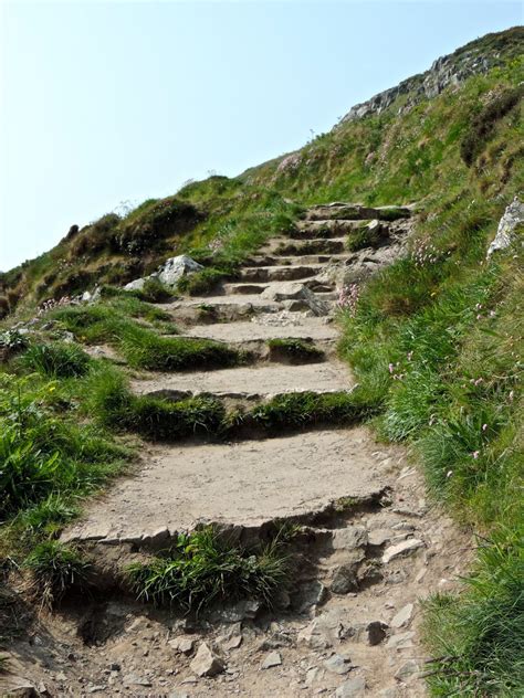 Of Golden Roses: Howth Cliffside Walk | Ireland